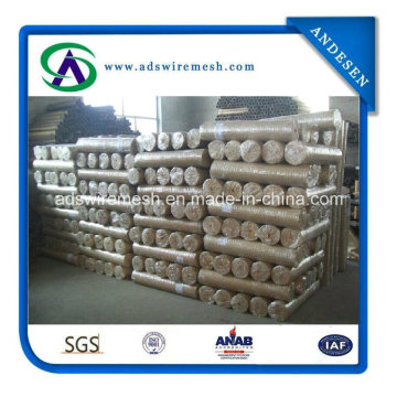 2015 Hot Sale! 304 316 Stainless Steel Welded Wire Mesh